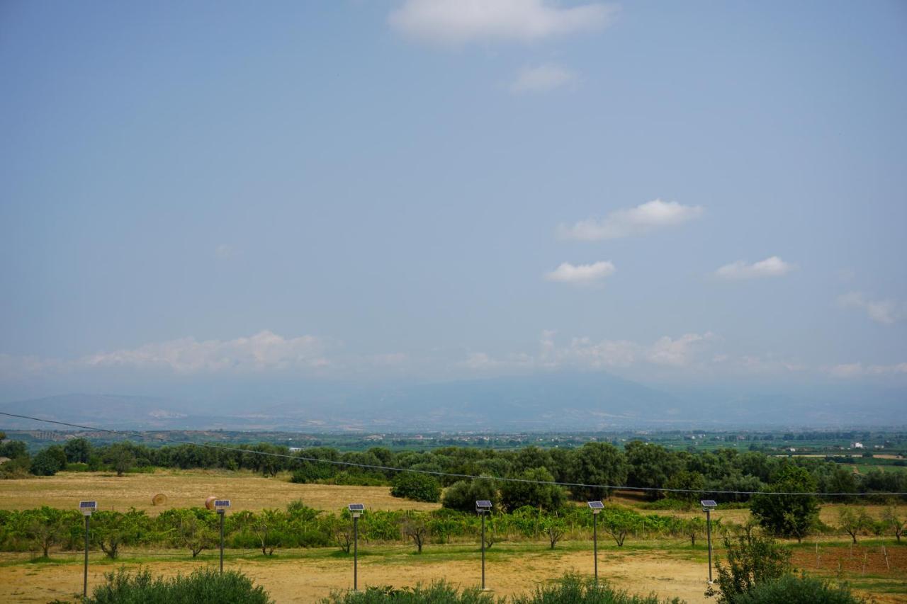 Agriturismo Casacchella Marina di Sibari Exterior foto