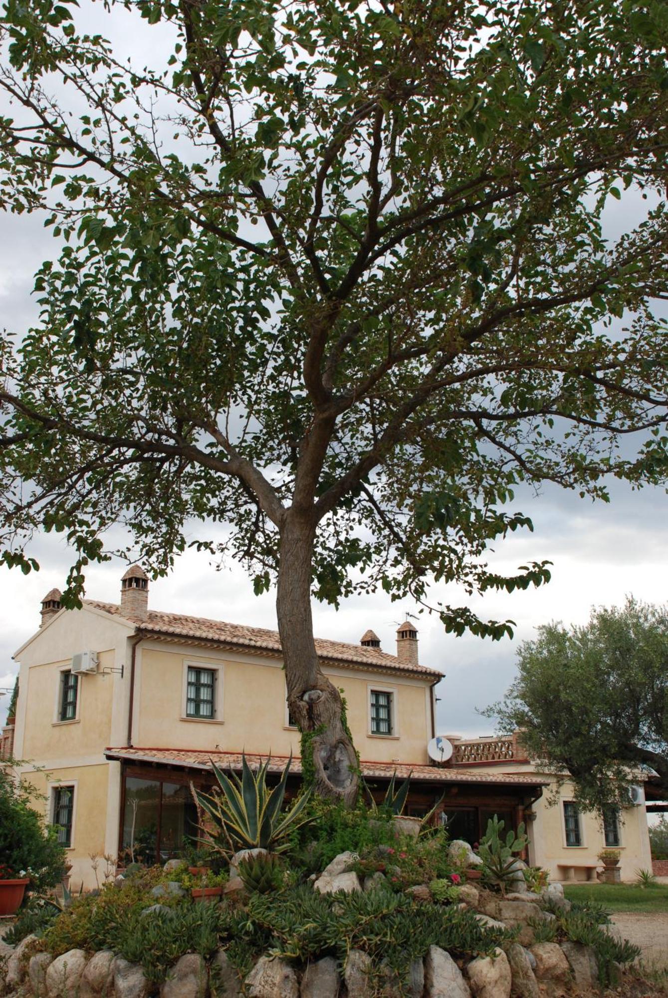 Agriturismo Casacchella Marina di Sibari Cameră foto